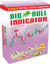 3 MONTHS PREMIUM PLAN - BigBull Most Powerful Buy & Sell Signal Indicators